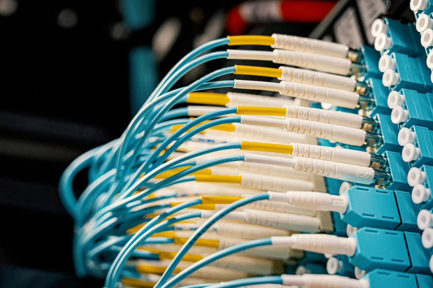 Structured fibre cabling connected to network equipment