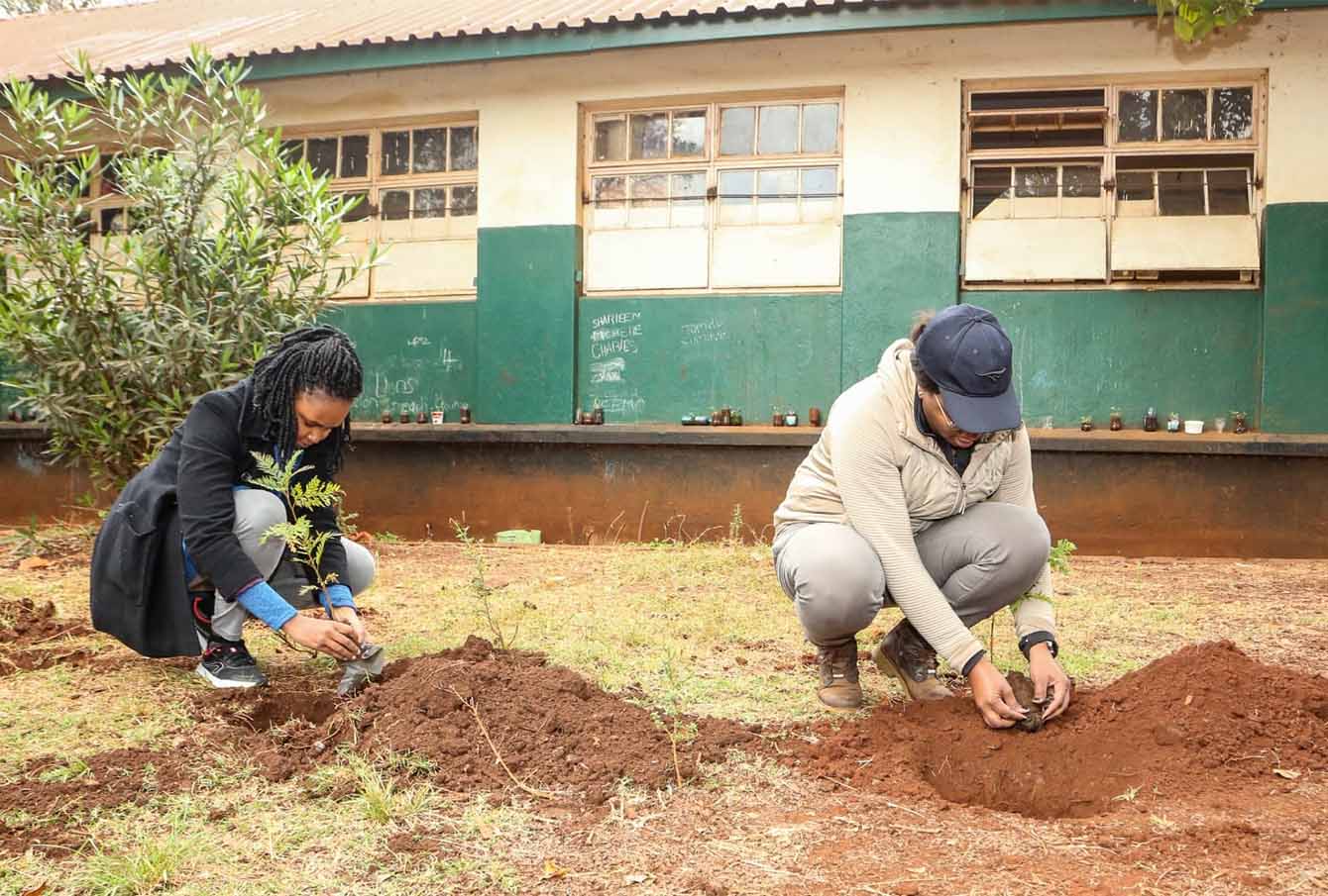 Tree planting at Westlands Primary School