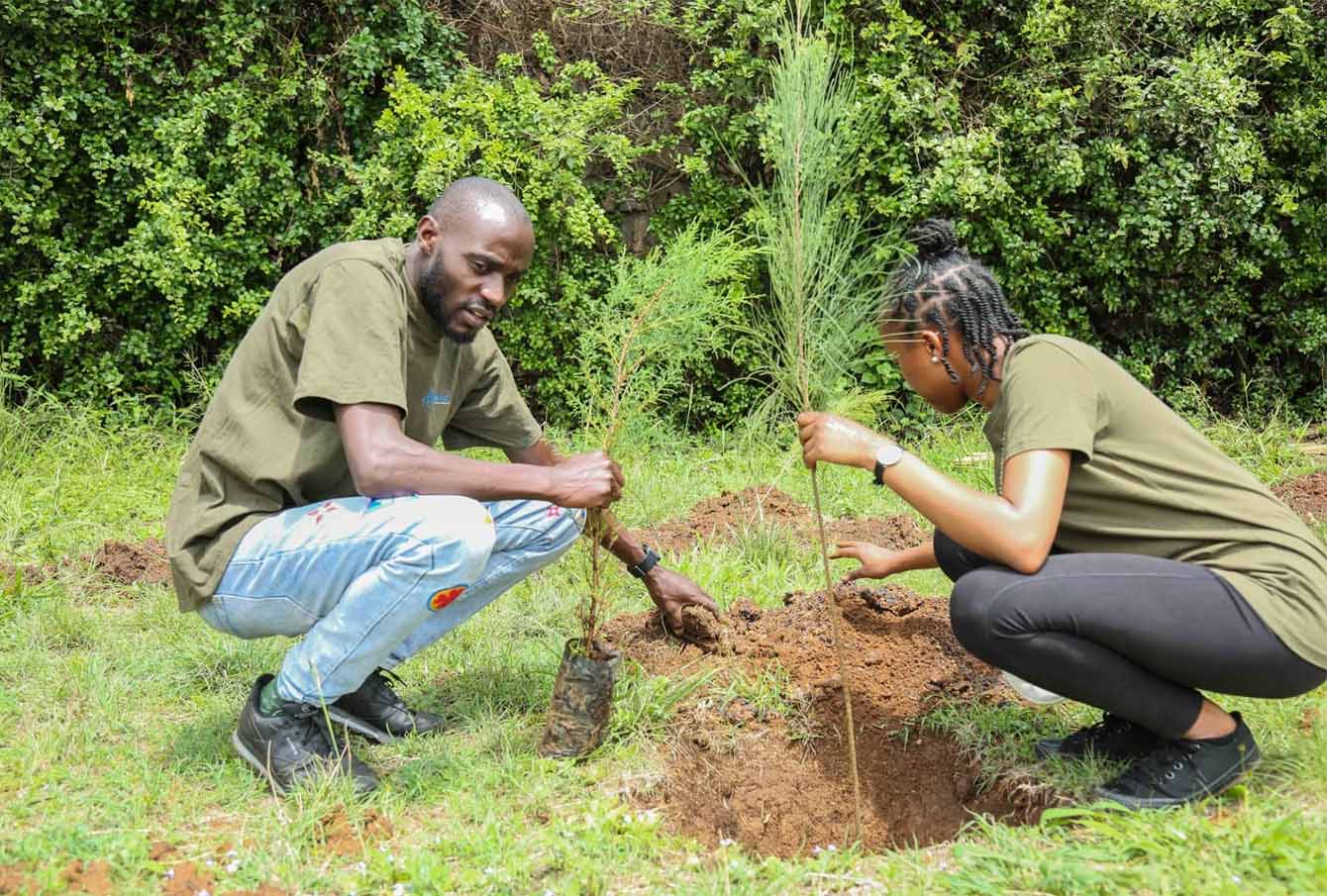 Volunteers planting a tree
