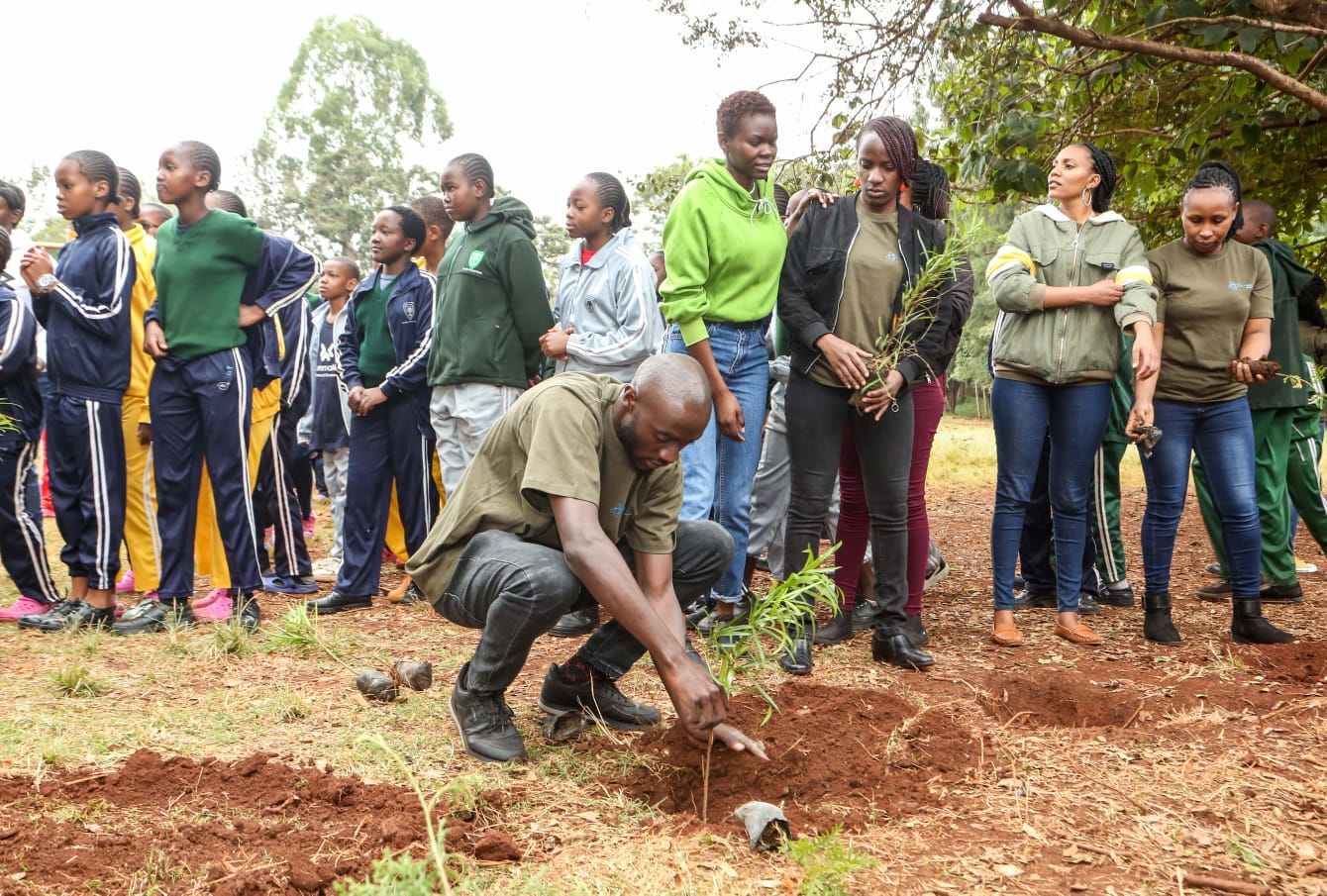 Group planting a tree together