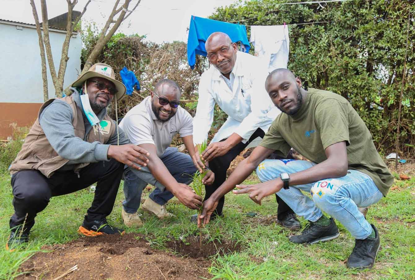 Team members caring for a newly planted tree